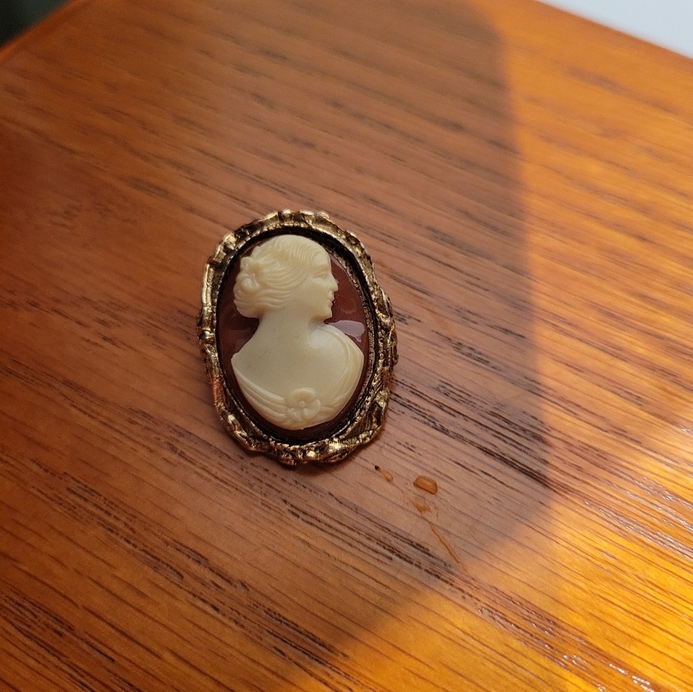 Beautiful Italian Cameo Fashion Pin